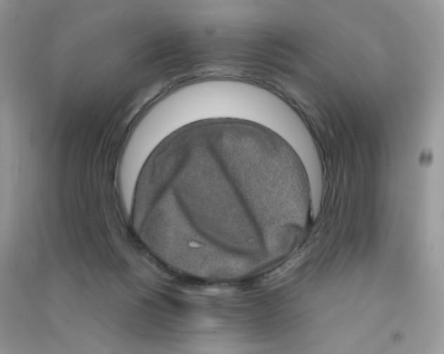 X0000090620168200708141420