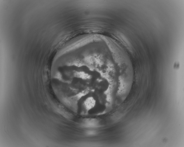 X0000090620169200708141420