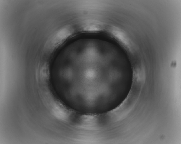 X0000090620170200708141420