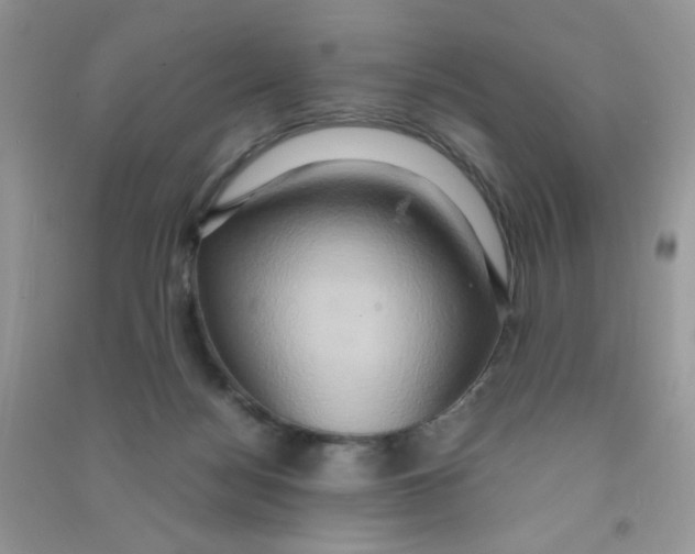 X0000090620172200708141420