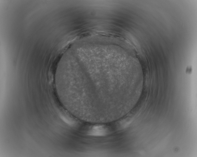 X0000090620173200708141420