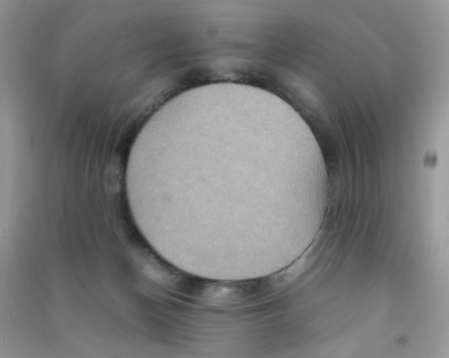 X0000090620174200708141420