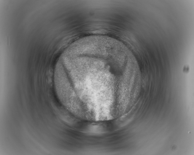 X0000090620175200708141420