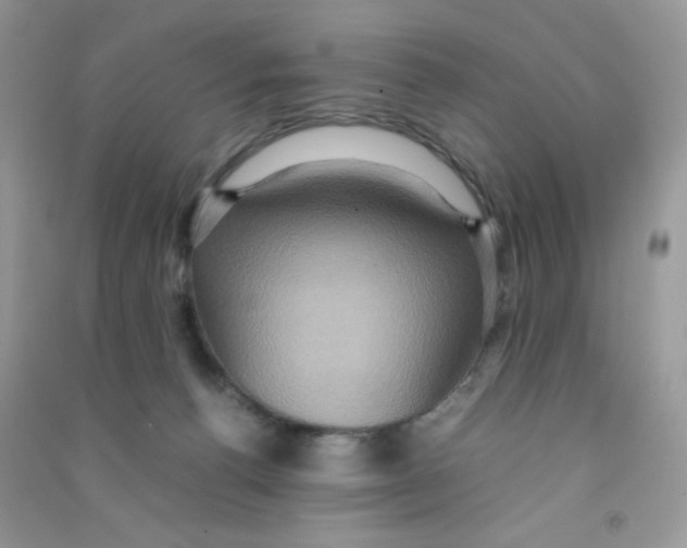 X0000090620176200708141420