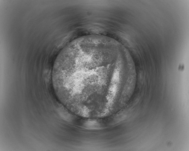 X0000090620177200708141420