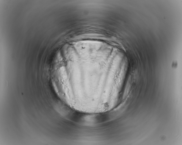 X0000090620178200708141420