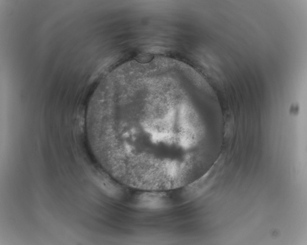 X0000090620179200708141420