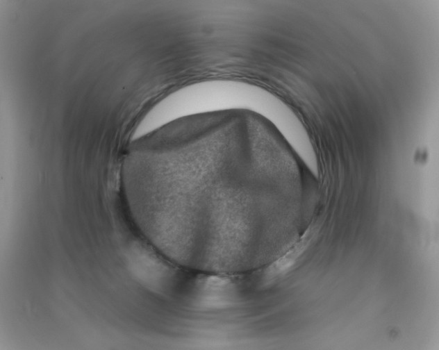 X0000090620180200708141420