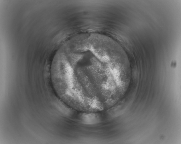 X0000090620181200708141420