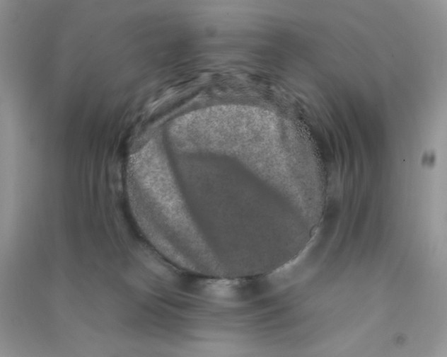 X0000090620182200708141420