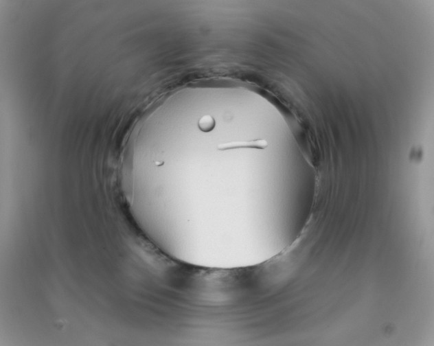 X0000090620186200708141420