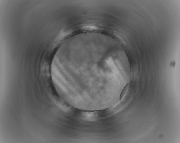 X0000090620187200708141420