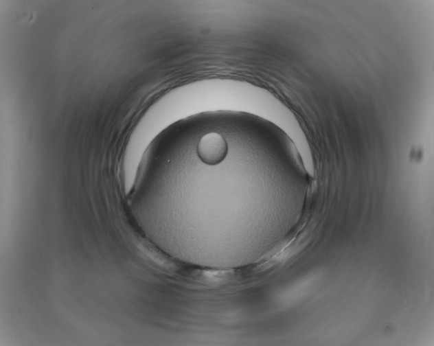 X0000090620188200708141420