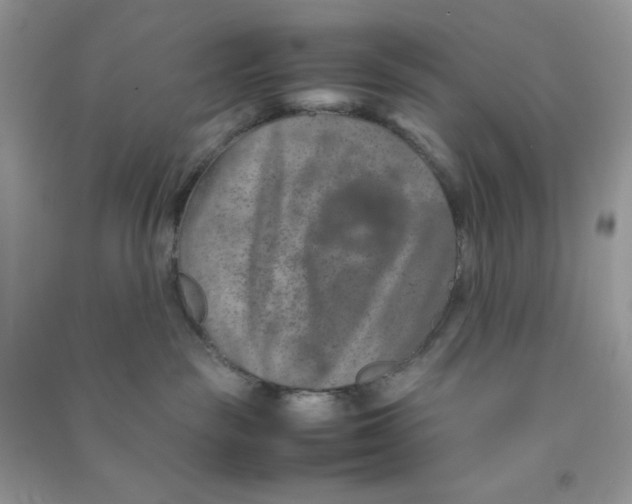 X0000090620189200708141420