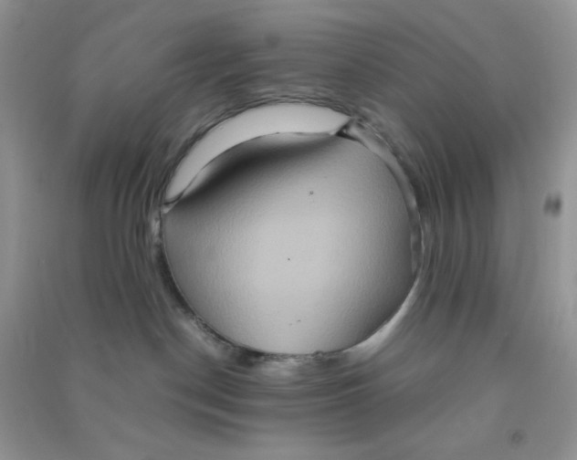 X0000090620190200708141421