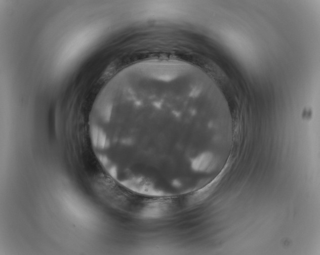 X0000090620191200708141421