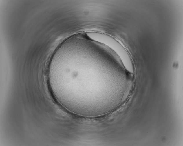 X0000090620193200708141420