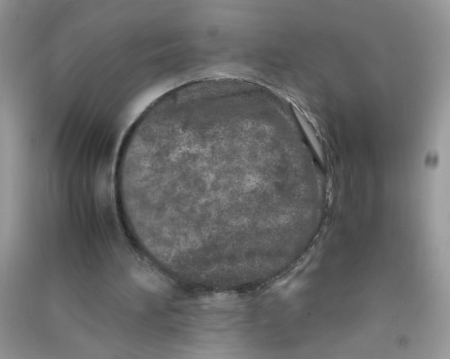 X0000090620196200708141420