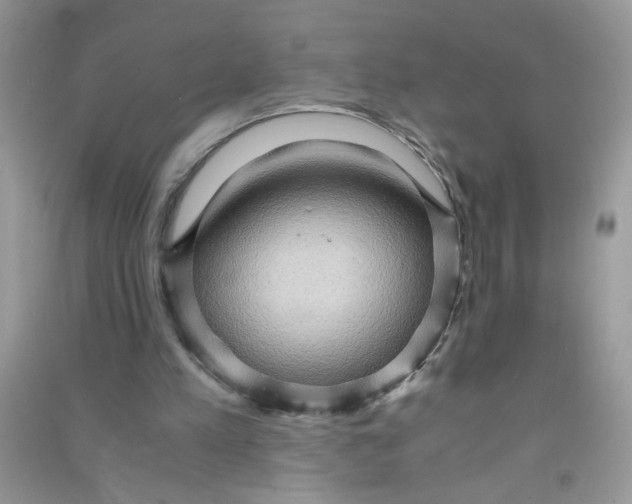 X0000090620197200708141420