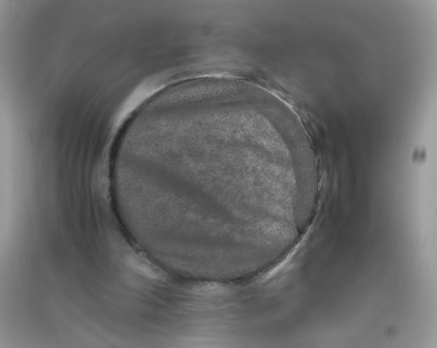 X0000090620198200708141420