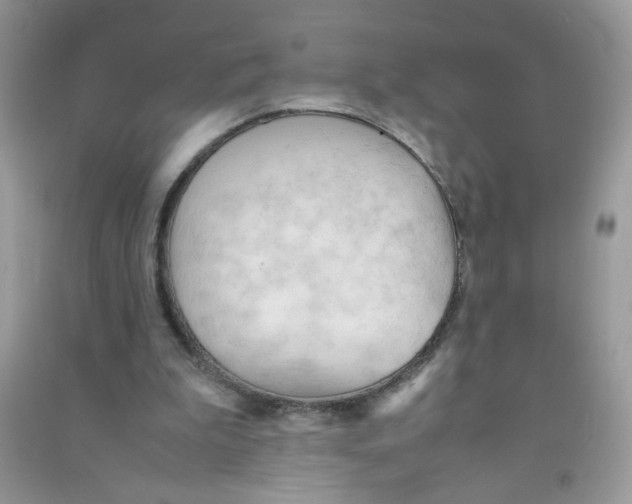 X0000090620199200708141420