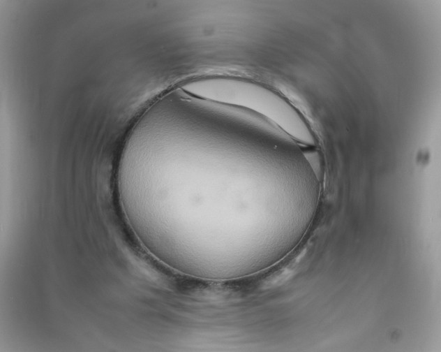 X0000090620201200708141420