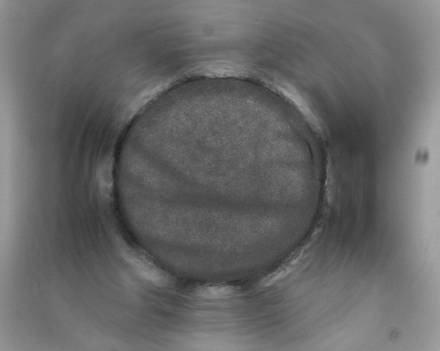 X0000090620202200708141420