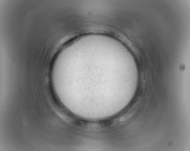 X0000090620203200708141420