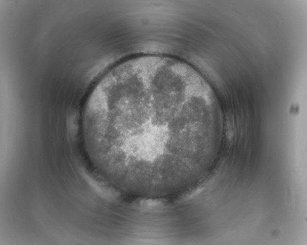 X0000090620208200708141420