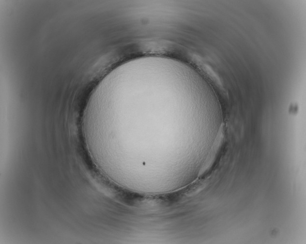 X0000090620209200708141420