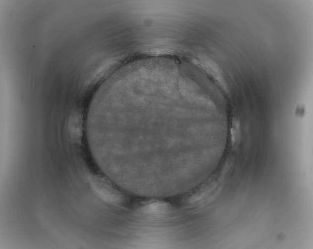 X0000090620210200708141420