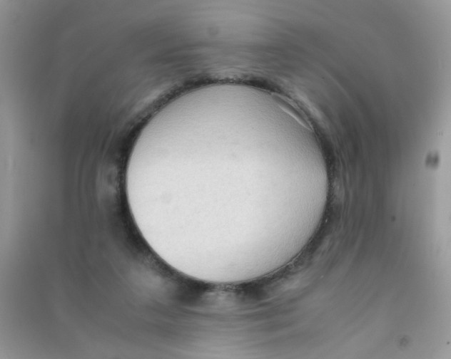 X0000090620211200708141420