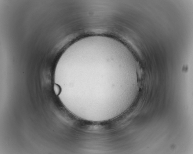 X0000090620212200708141420