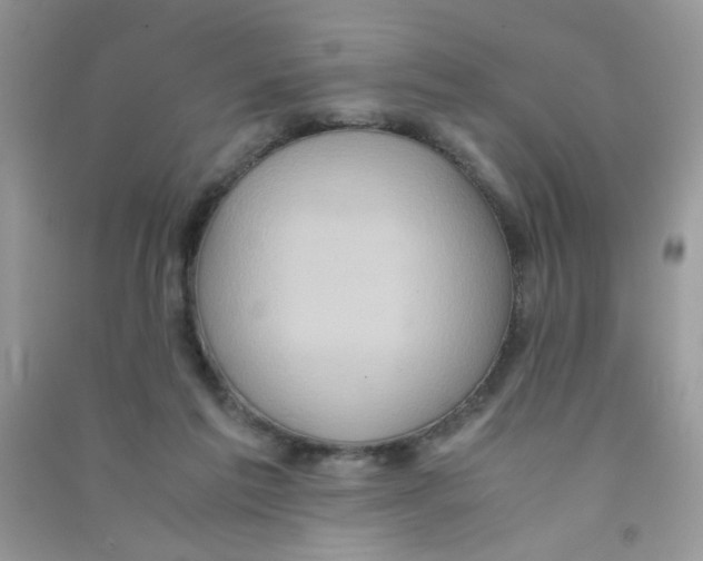 X0000090620213200708141420