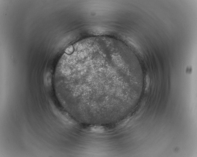 X0000090620214200708141420