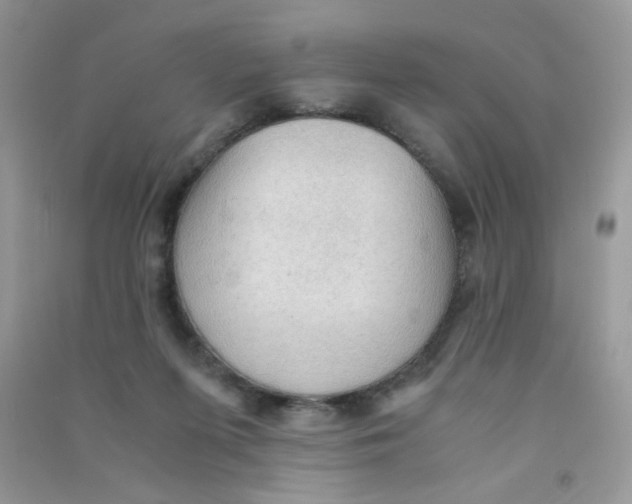 X0000090620215200708141420