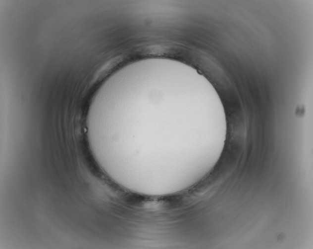 X0000090620216200708141420