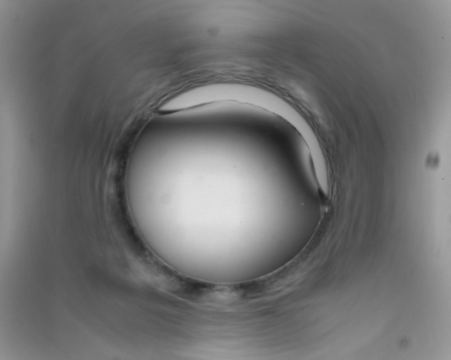 X0000090620217200708141420