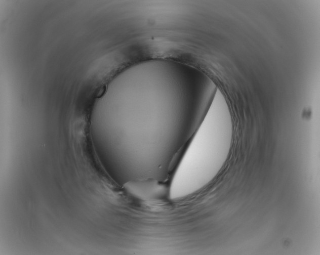 X0000090620219200708141420