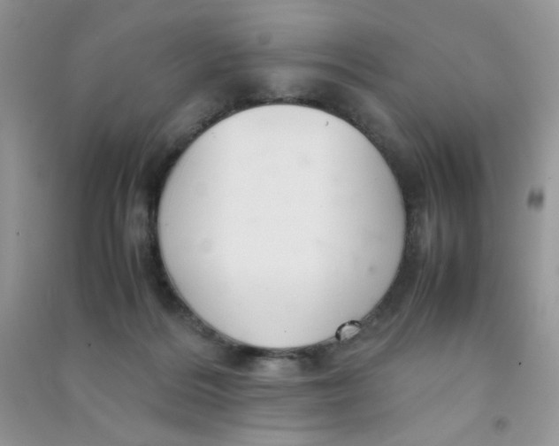 X0000090620220200708141420