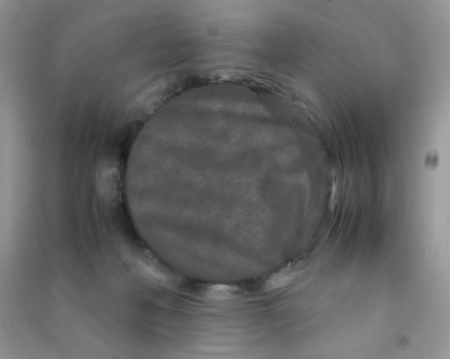 X0000090620222200708141420