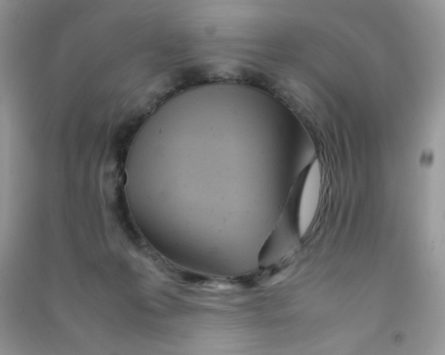 X0000090620223200708141420