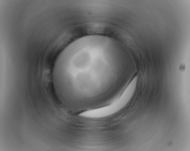 X0000090620224200708141420