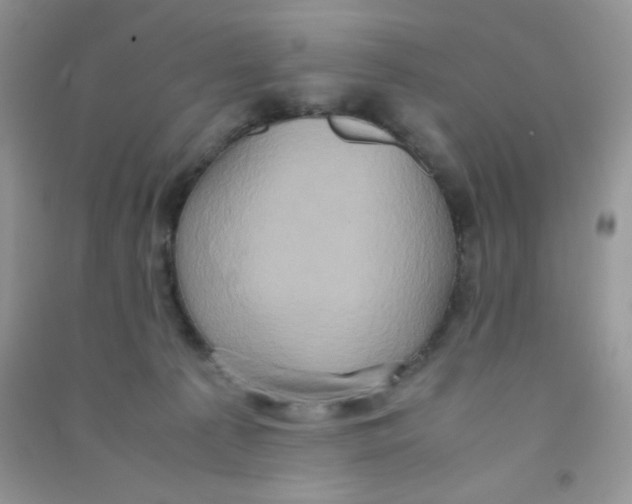 X0000090620225200708141420