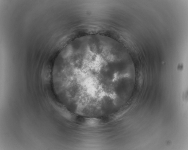 X0000090620226200708141420