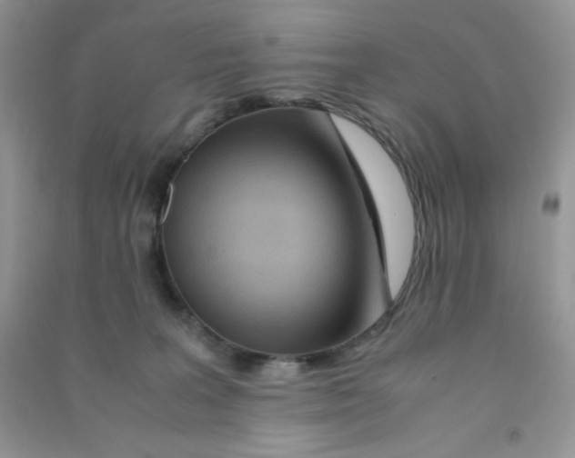 X0000090620227200708141420