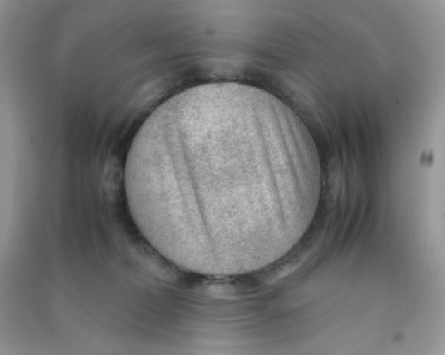 X0000090620228200708141419