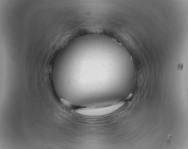 X0000090620229200708141419