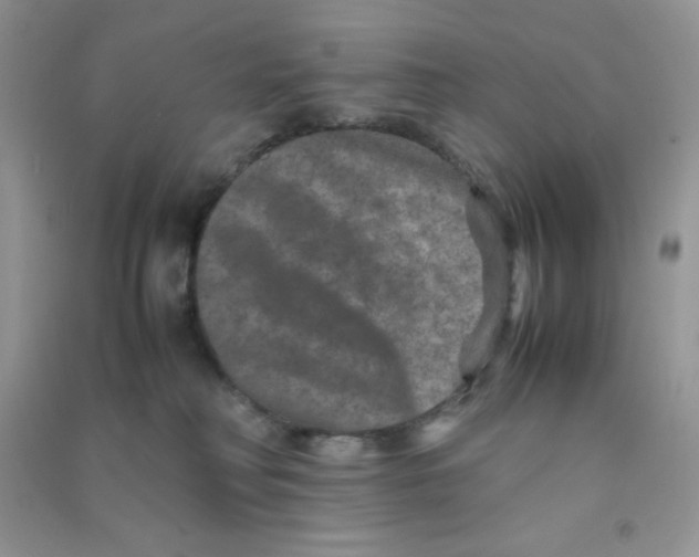 X0000090620230200708141419