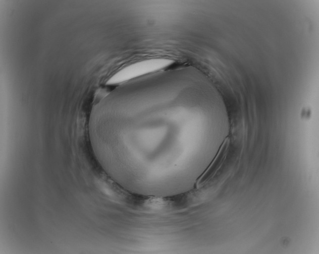 X0000090620231200708141419